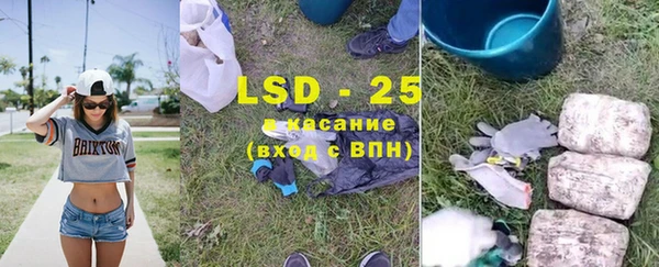 дживик Аркадак